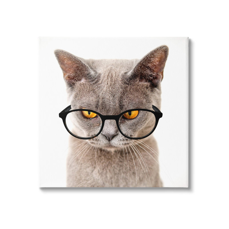 «Cat Face Hipster Glasses» par Karen Smith, impression sur toile tendue, H 17 po x l 17 po x P 1,5 po