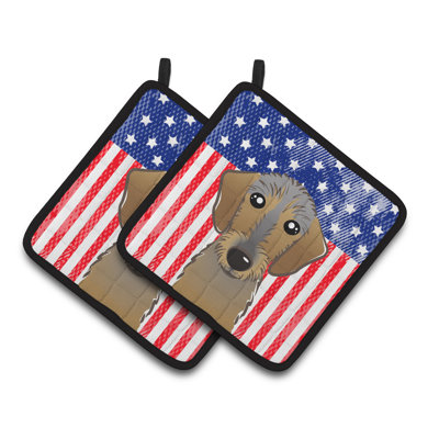 Caroline's Treasures American Flag Striped Polyester Potholder Set