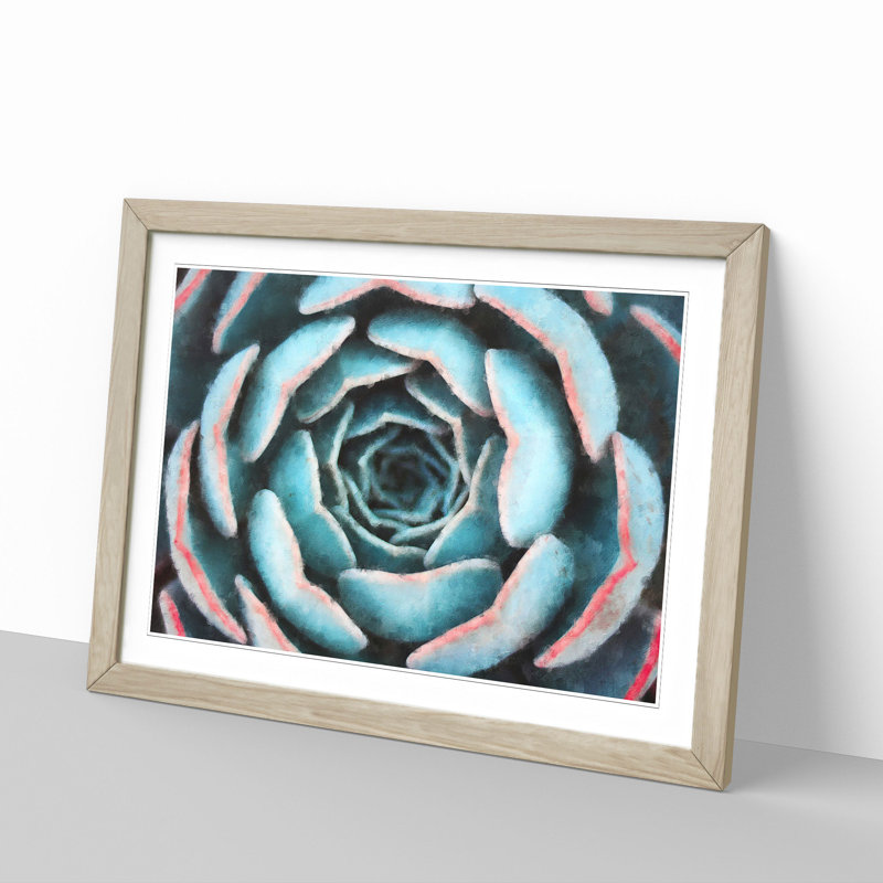 Pink And Green Succulent Plant - Single Picture Frame Print on MDF, 33cm H x 45cm W x 2cm D, Oak