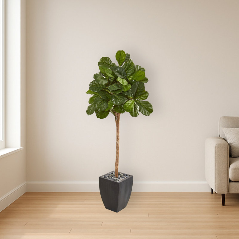 Fiddle Leaf Fig Artificial Tree in Black Planter