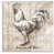 Toile tendue