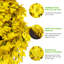 Couronne en forsythia fabriquée à la main 24 po pour porte d'entrée-1618358398