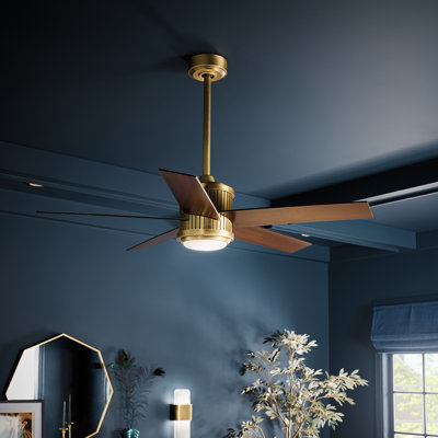 Bhram 48'' Ceiling Fan with LED Lights