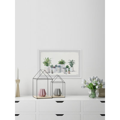 Indoor Pot Plants - Single Picture Frame Painting