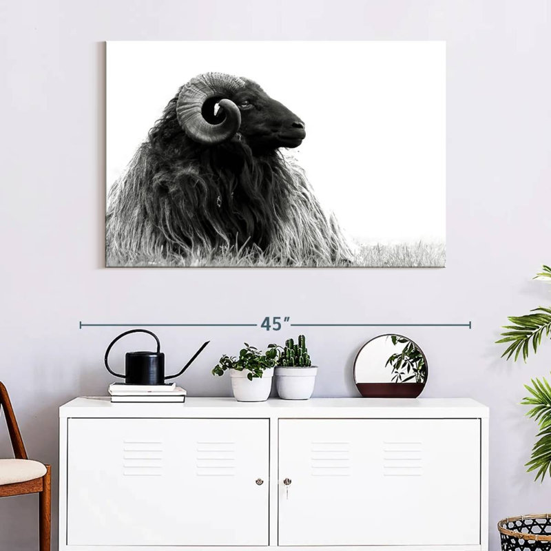 Brampt Bighorn Ram, 26" H x 39" W