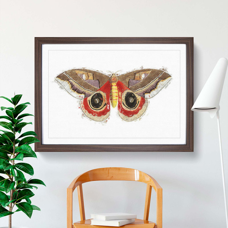 Automeris Moth by George Shaw - Single Picture Frame Painting, 45cm H x 63cm W x 2cm D, Walnut Framed