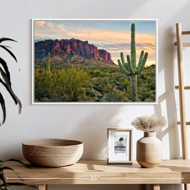 Cactus View II, 25 po x 17 po, Cadre flottant blanc