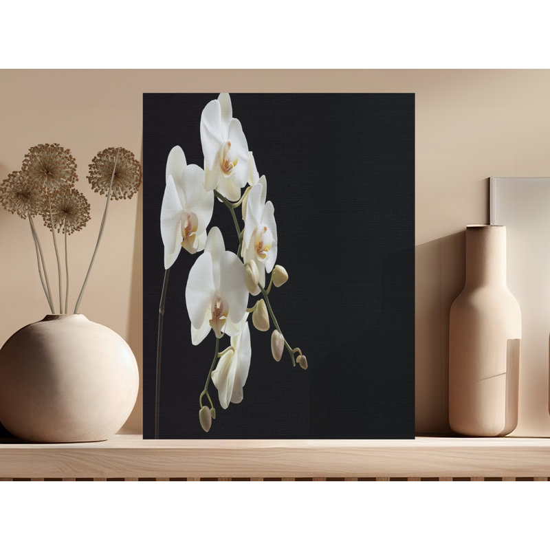 Wrapped Canvas Print Set, 20x24