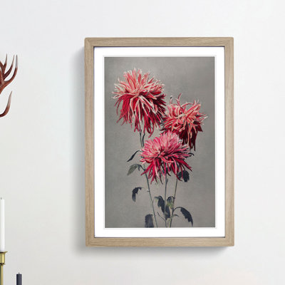 Fuscia Pink Chrysanthemums by Ogawa Kazumasa - Framed Print