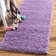 Santoshi Performance Indoor Rug