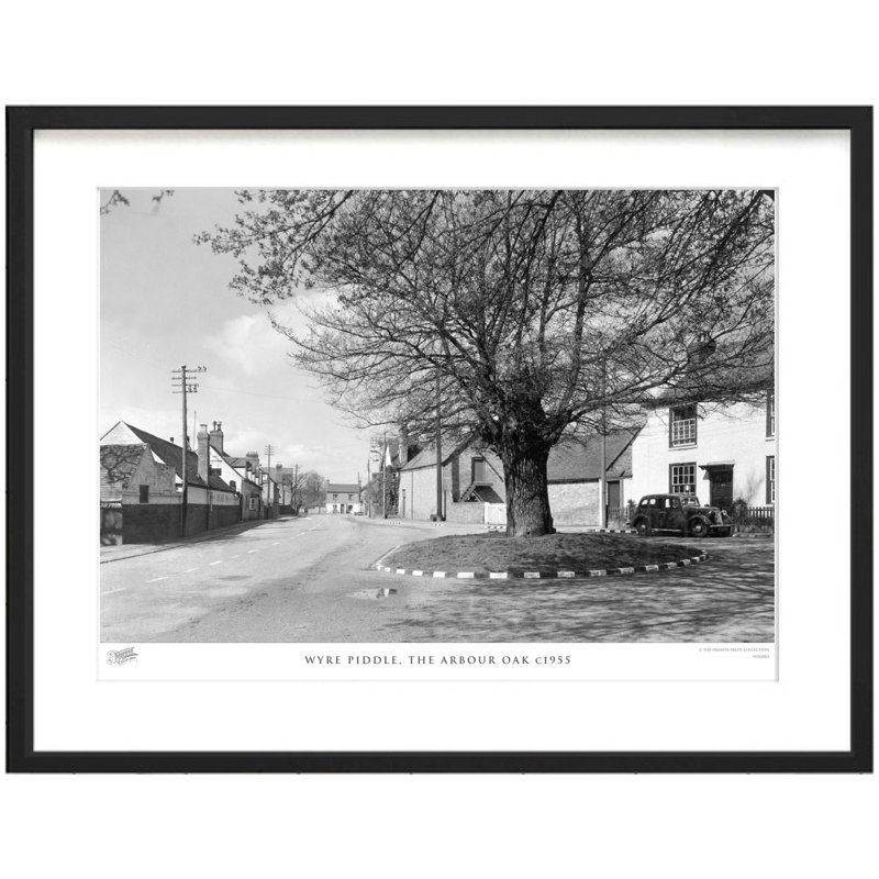 Wyre Piddle, The Arbour Oak C1955 by Francis Frith - Single Picture Frame Print, 40cm H x 50cm W x 2.3cm D