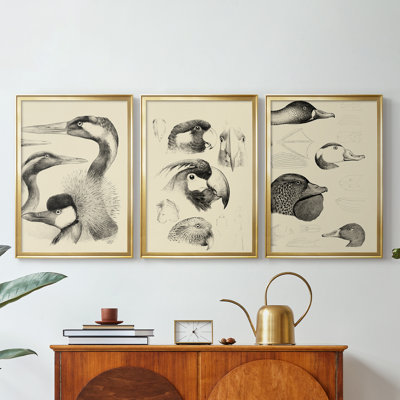Waterbird Sketchbook I  -Custom Framed  Wrapped Gallery Canvas - 3 Pieces