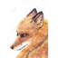 Reproduction de renard sur toile