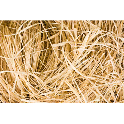 Raffia Background by Diane Labombarbe