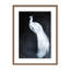 Nature Inspired Alabaster Majesty: White Peacock Against The Night-1691510551-1691510531-1691510528