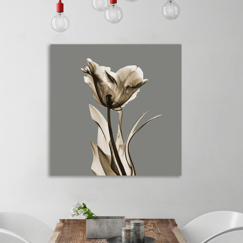 Grey Luster Tulip - Wrapped Canvas Print, 46 cm H x 46 cm W