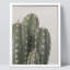 «Cactus Succulent Southwest Texas Mexico Saguaro» sur papier-98266325-98266326