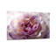 Plantes et fleurs, motif floral mauve-1993991546
