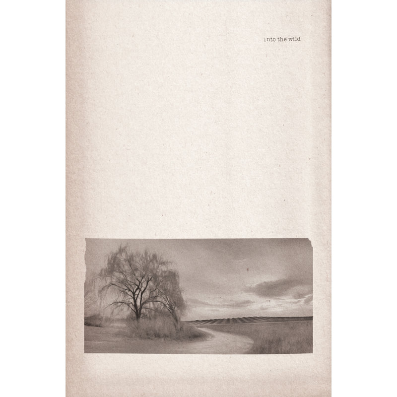 «Willow Lane» par Lori Deiter, H 12 po x l 8 po, Papier avec cadre photo en érable, Oui