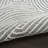 Coedy Charcoal Ivory Modern Indoor Rug-107820442