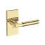 Riddling Full Dummy Lever with Contemporary 5in Rose in Lifetime (PVD) Polished Nickel-1989798191