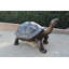 Tortue géante - statue de tortue en bronze - taille: L 64 po x l 36 po x H 36 po.