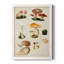 Mushroom Species IV, peinture sur toile encadrée-88440591-88440592