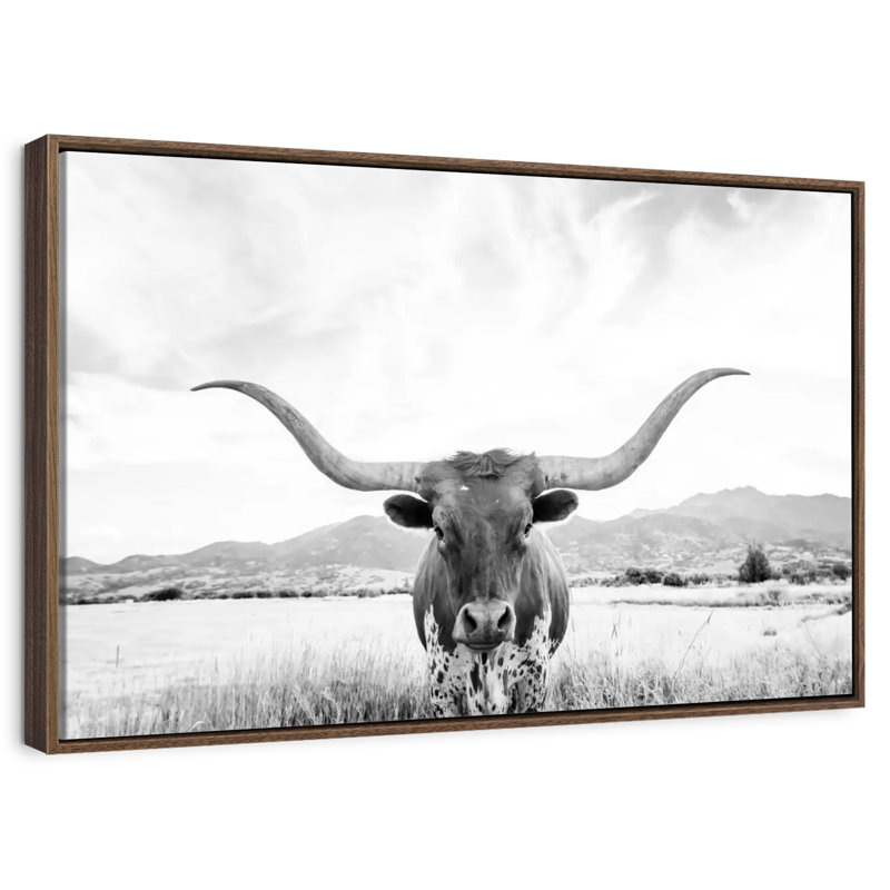 Longhorn Texas BW, Cadre flottant noyer, 40 po x 27 po