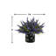 Heather Arrangement In A Glass Vase With Flower Label