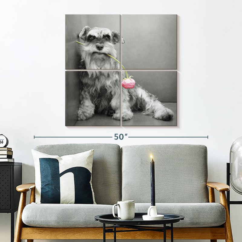 Brampt Ziggy BW, 32" H x 32" W