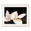 Dancer Print by JR Rapier-755736923-755736925