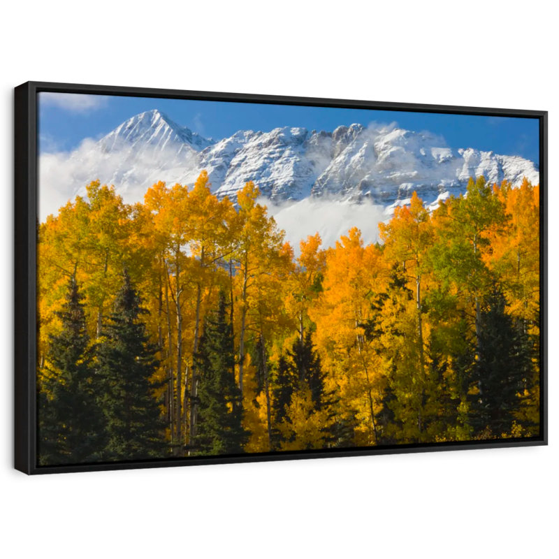 Floral et botanique «Wilson Peak Autumn View Canvas Print», H 27 po x l 40 po