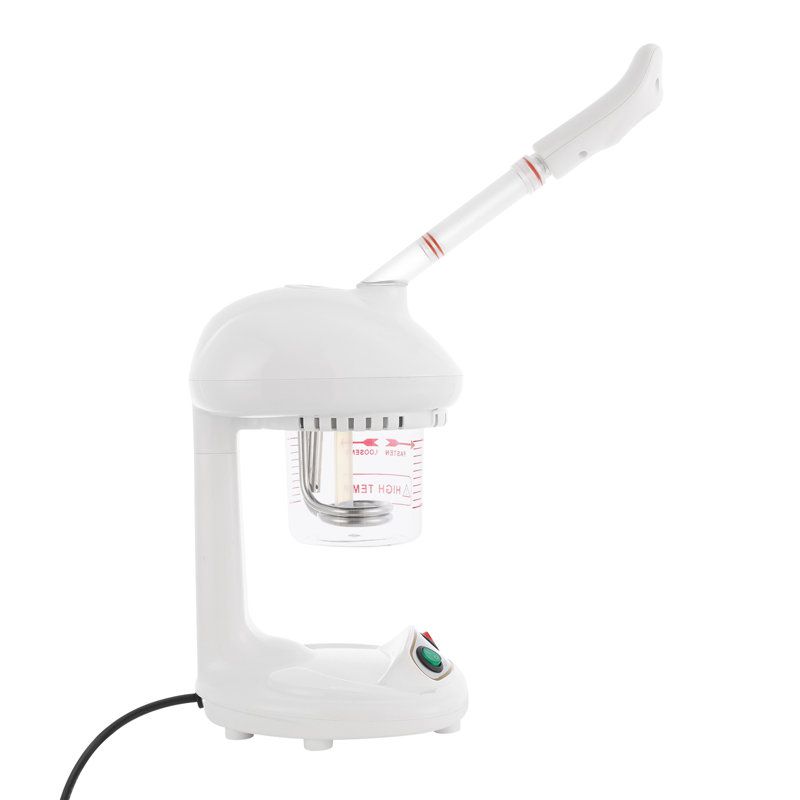 Cuiseur à vapeur 450W avec buse rotative à 360 °