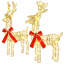 Holiday Lighting