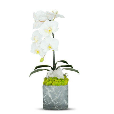 Artificial Orchid in Planter