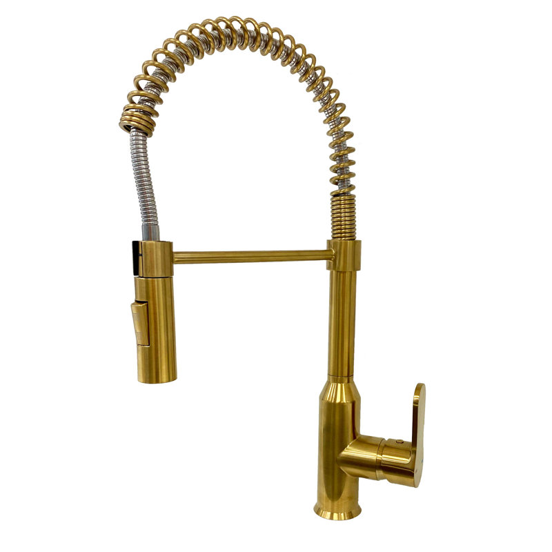 LessCare Pull Down Kitchen Faucet, Gold