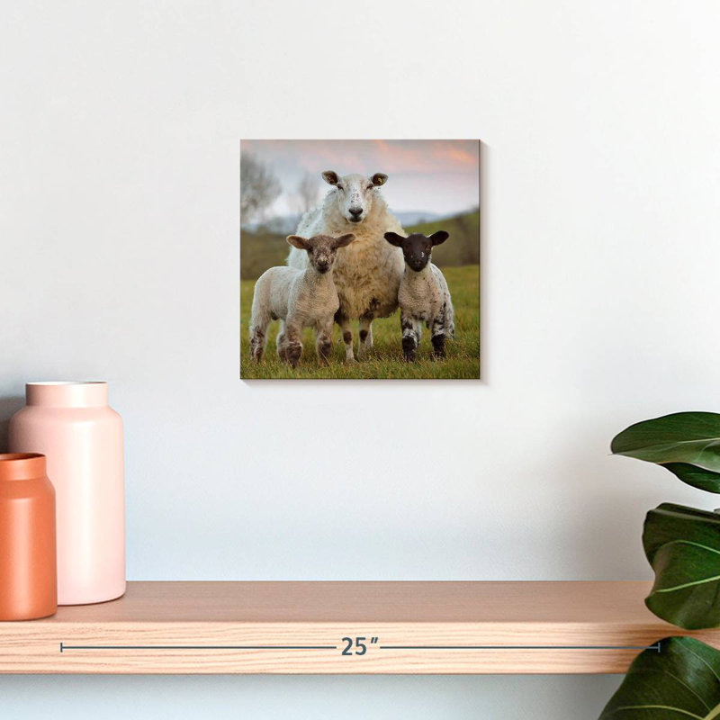 Brampt Markethill Sheep, 10" H x 10" W