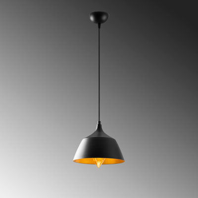 Graciela 1 - Light Dome Pendant