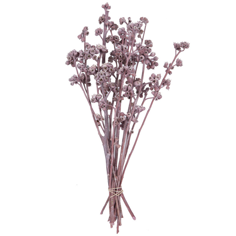 Branche de feuillage préservé de 13 po, Rose Erika
