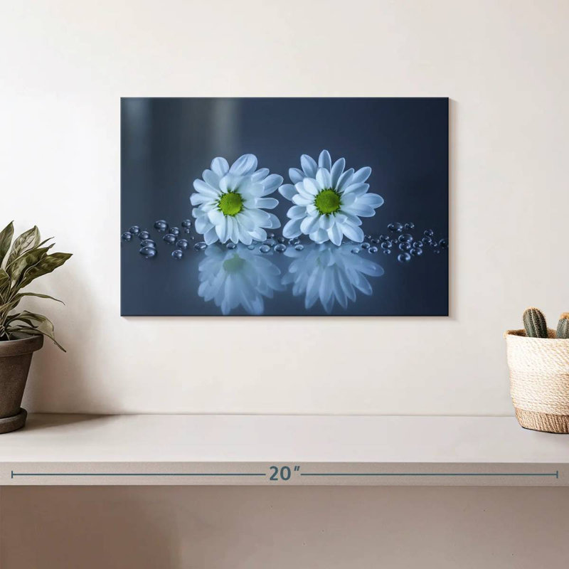 Harnek White Daisies, 8" H x 12" W