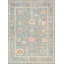 Oriental Area Rug in Light Blue