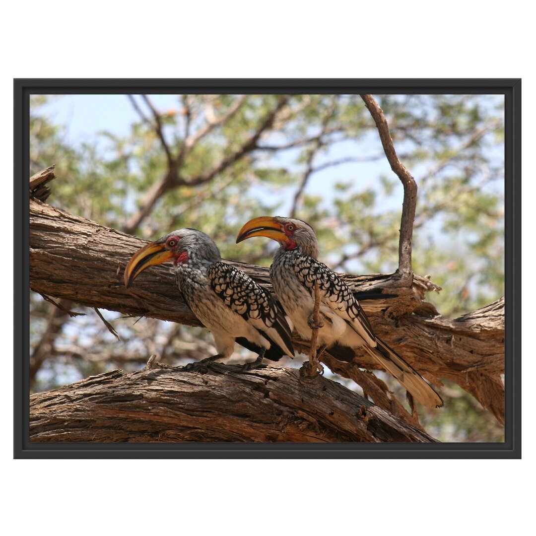 Gerahmtes Wandbild zwei Vögel auf einem Baum