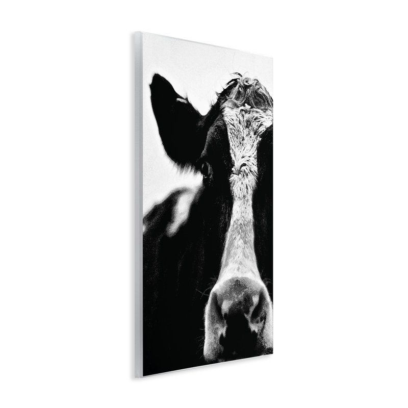 «Cow Close Up», reproduction de photo, H 15 po x l 10 po