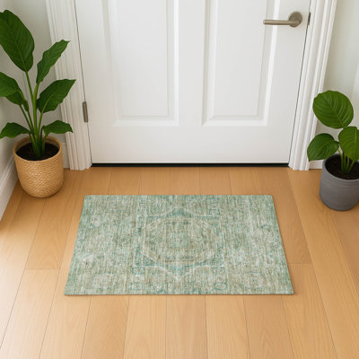 Premium Machine Washable Lubbers AMF1743 Global Rug