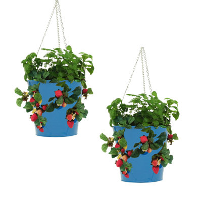 Inverleigh Metal Hanging Planter