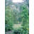 152cm W x 53cm D Steel Arbour in Black