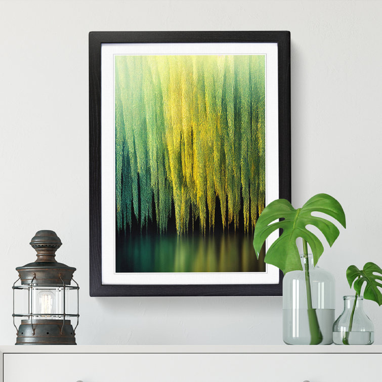 Weeping Willow Tree View - Single Picture Frame Print