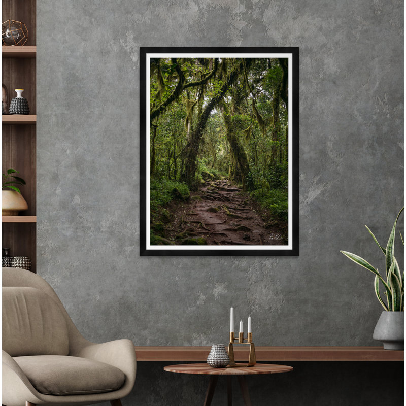 Rainforrest par Tim Klein - Photographie avec cadre
