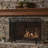 Thayer Single Panel Iron Fireplace Screen-1867522738