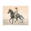 Bolognaise "Desert Ranger II" sur toile-98248463